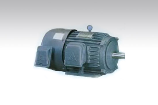 台湾东元(TECO)卧式变频电机